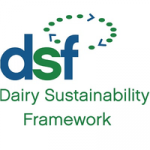 DSF logo