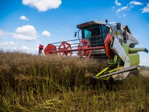 combine harvester